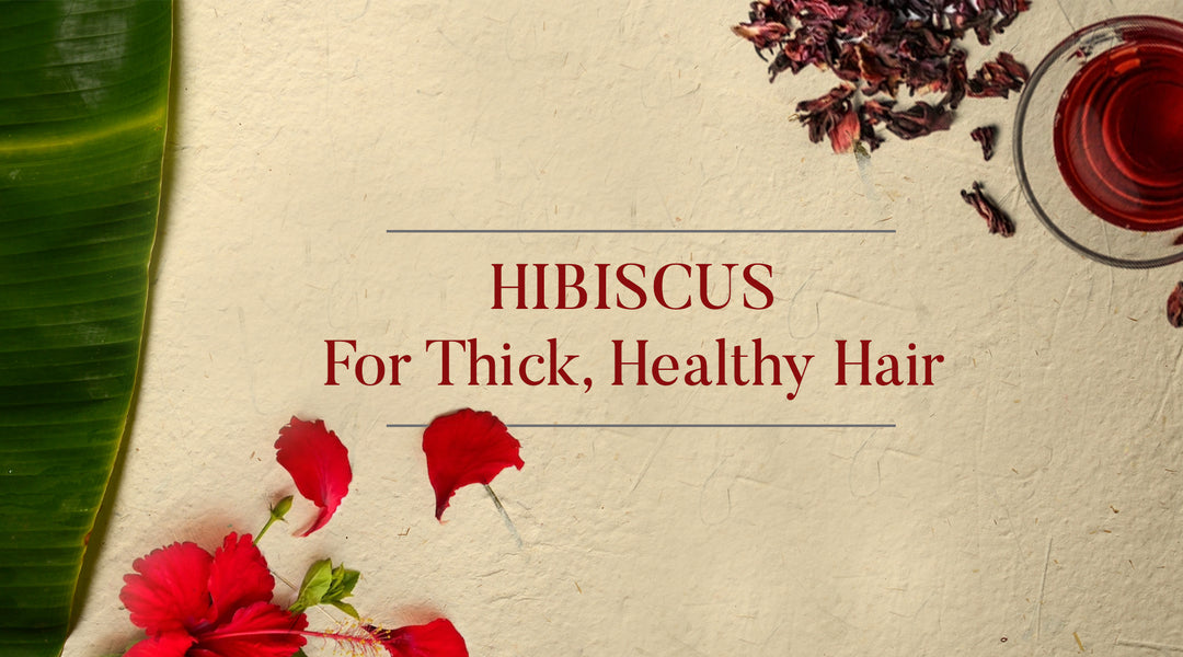 Hibiscus For Healty Hair