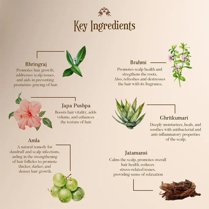 Key Ingredients of Japa Pushpa Thailam